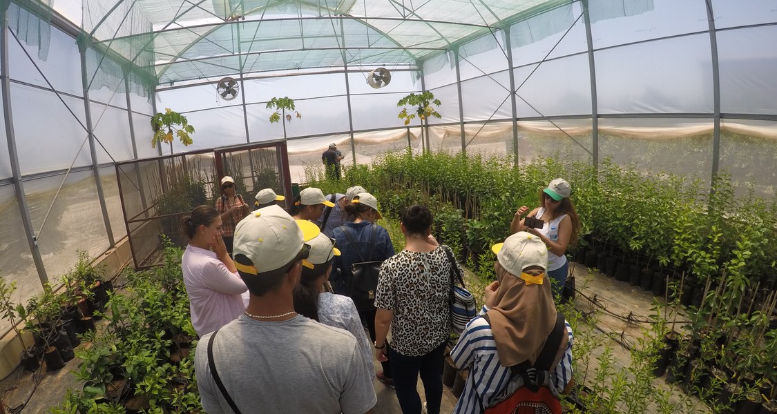 A group of students inside a greenhouse.