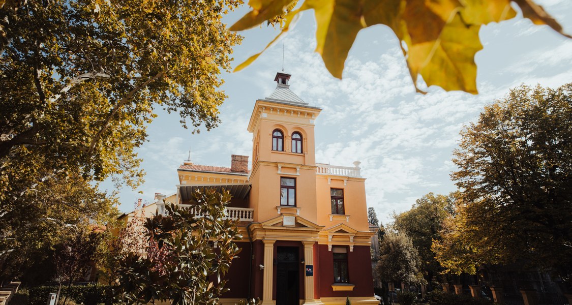 With the arrival of the Austro-Hungarian authority in Bosnia and Herzegovina in 1878, Mostar experienced urban development. In 1897, construction entrepreneur Eduard Fessler built a one-storey villa richly decorated with various elements of neo-baroque style. Today it houses the seat of the Rectorate of the University of Mostar.