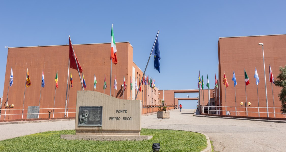 The entrance of the ‘Pietro Bucci’ bridge at the University of Calabria is marked by a distinctive feature: flags representing the home countries of enrolled students. These flags symbolise the university’s commitment to inclusion and openness, welcoming students and visitors from every corner of the globe.